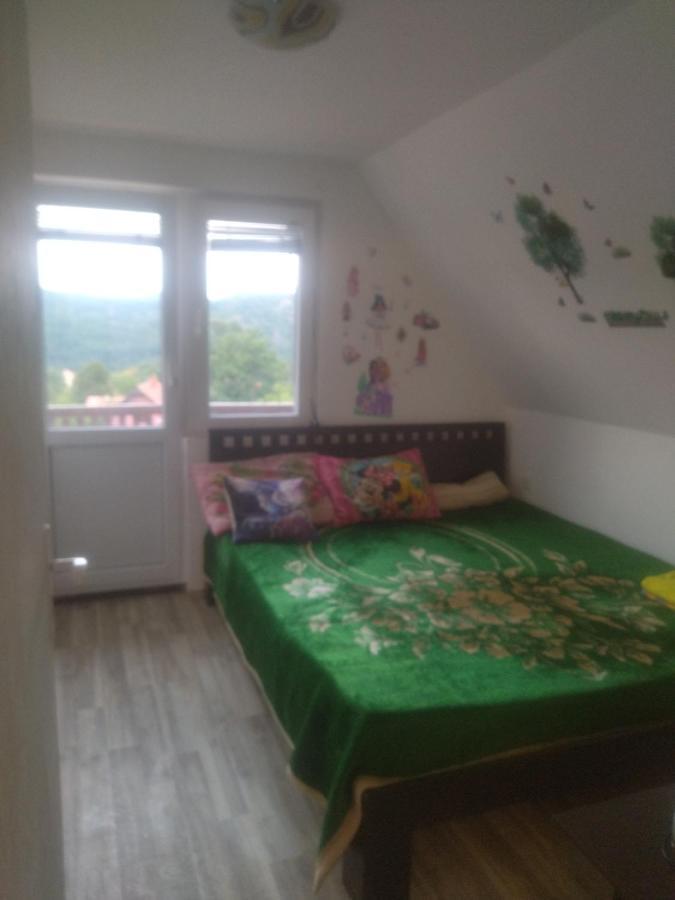 Bor, Savaca - Porodicna Vikendica Za Izdavanje Bagian luar foto