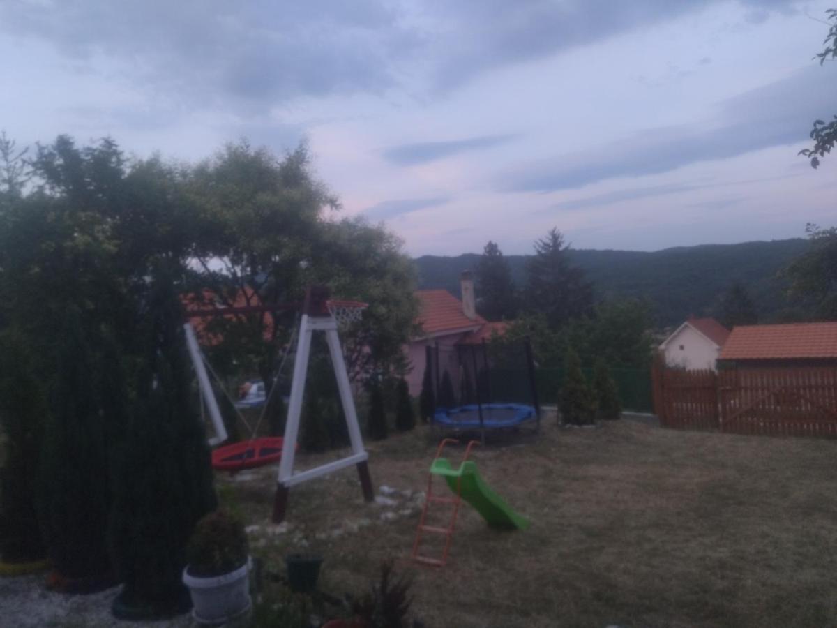 Bor, Savaca - Porodicna Vikendica Za Izdavanje Bagian luar foto