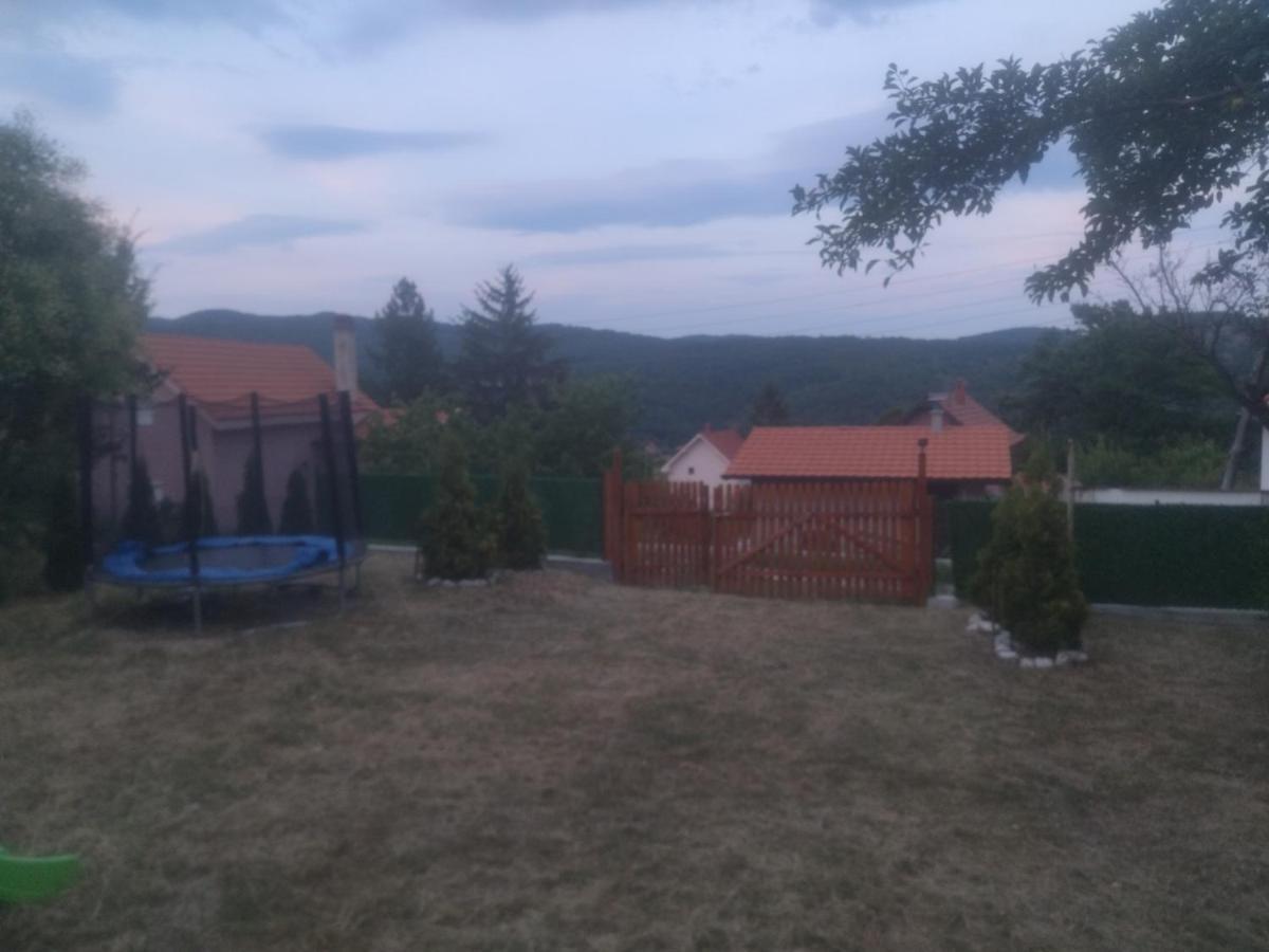 Bor, Savaca - Porodicna Vikendica Za Izdavanje Bagian luar foto